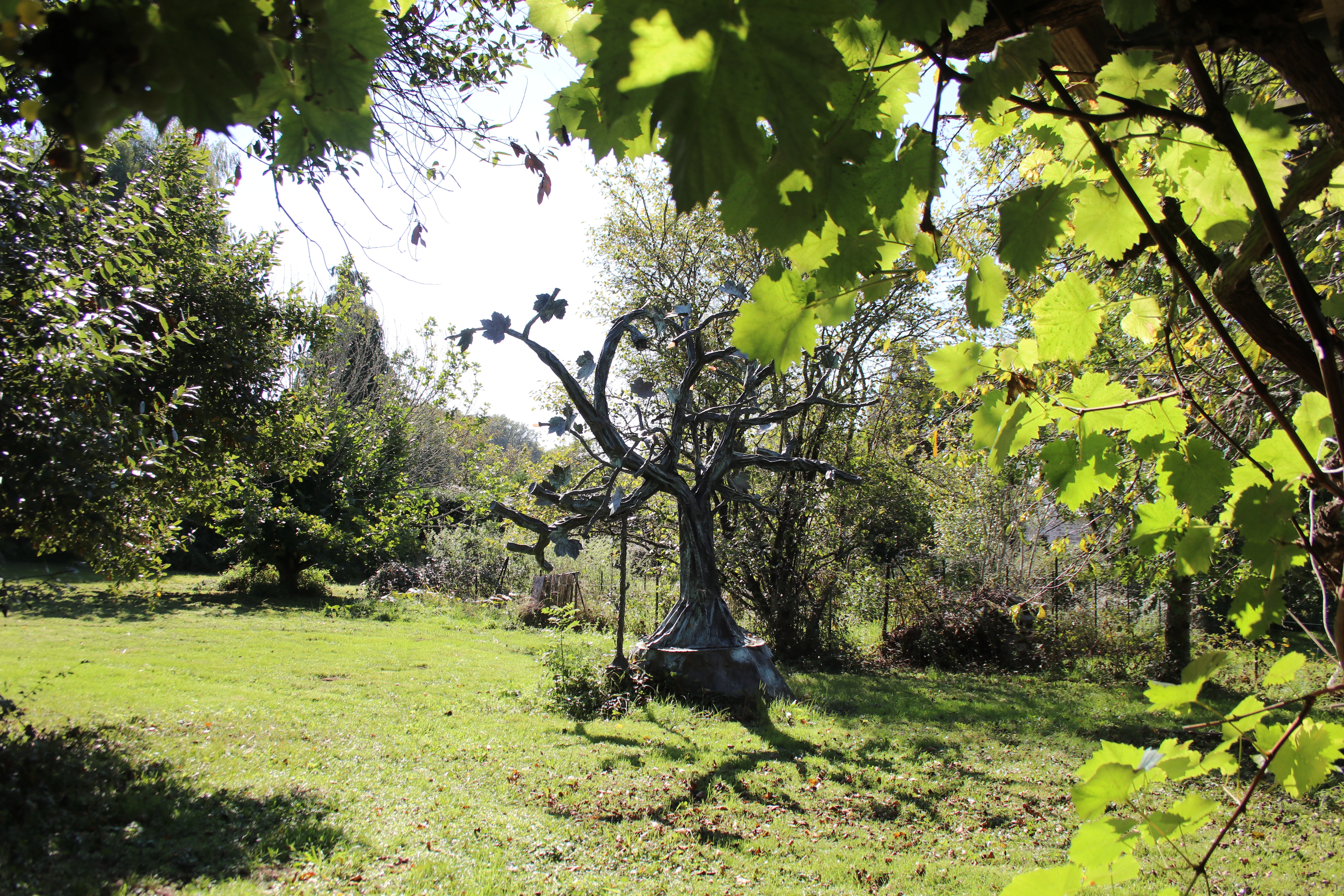 L'arbre en cuivre veille sur le jardin